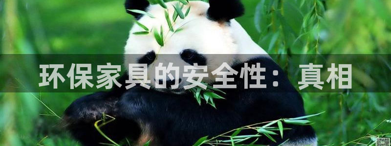 杏耀平台代理