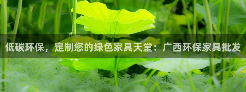 杏耀平台代理