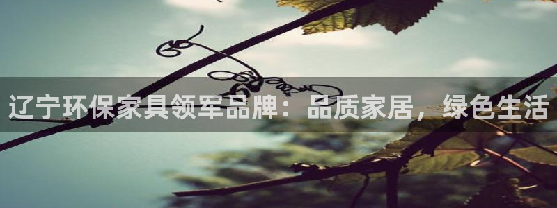 杏耀平台代理怎么赚钱快