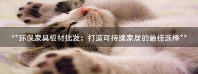 杏耀代理日工资多少