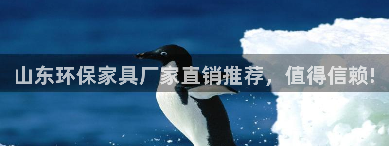 杏耀测速注册