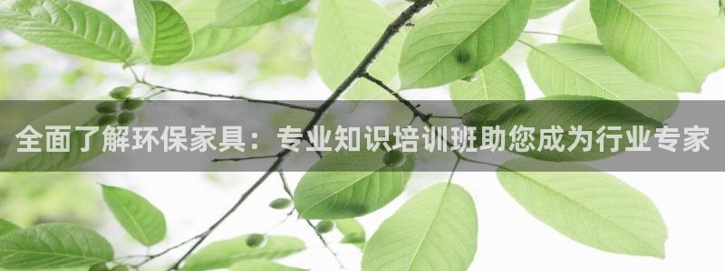 杏耀平台测速地址