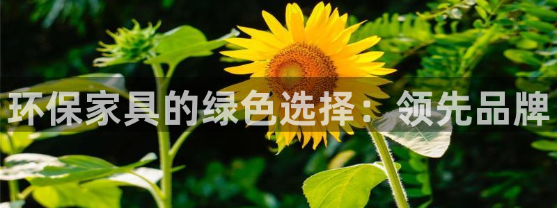 杏耀登陆网站：环保家具的绿色选择：领先品牌