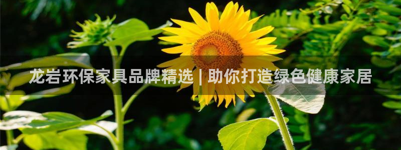 杏耀登陆电脑线路测速