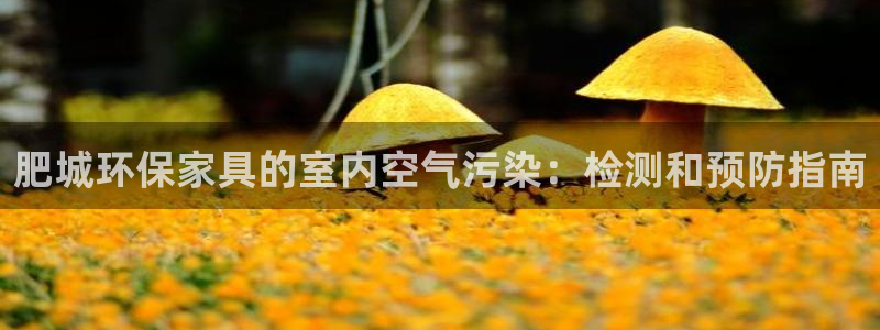 杏耀官方测速：肥城环保家具的室内空气污染：检测和预防指南