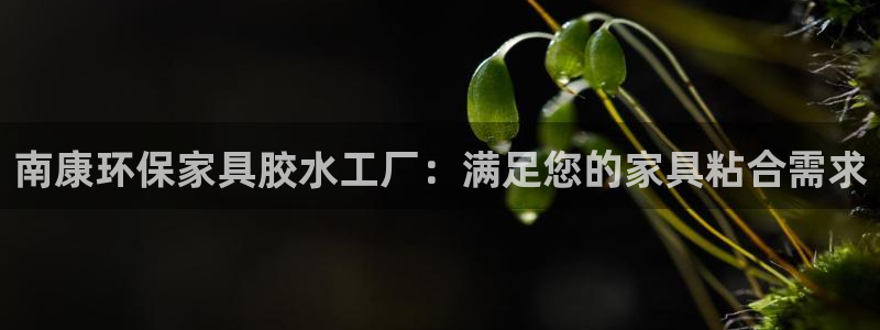 杏耀是什么平台