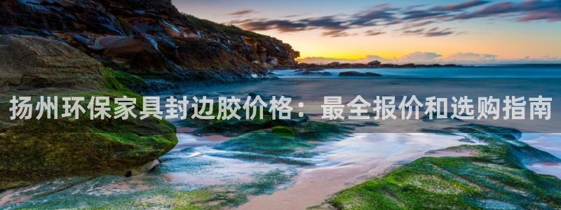 杏耀平台注册登录：扬州环保家具封边胶价格：最全报价和选购指南