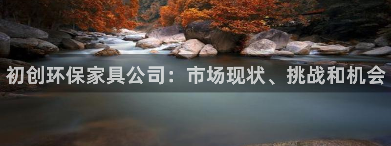 杏耀平台测速登陆：初创环保家具公司：市场现状、挑战和机会