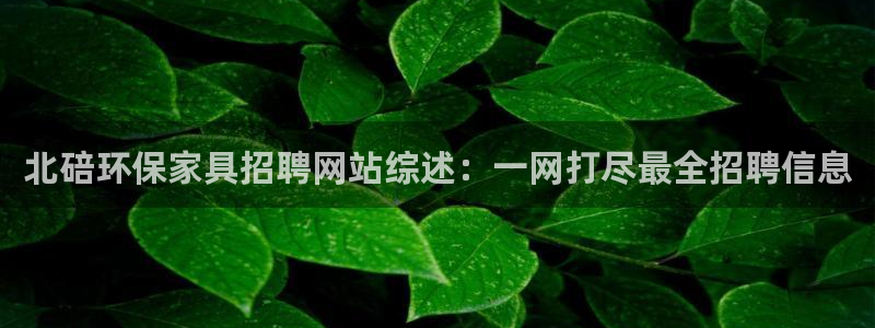 杏耀平台娱乐：北碚环保家具招聘网站综述：一网打尽最全招聘信息
