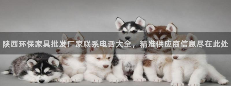 杏耀官网娱乐