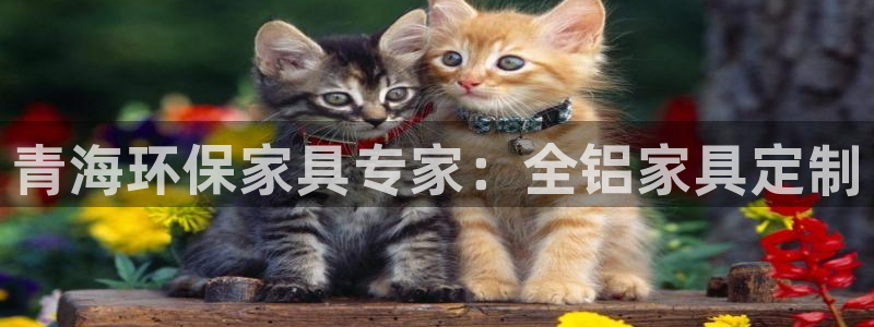 杏耀平台登录网站：青海环保家具专家：全铝家具定制
