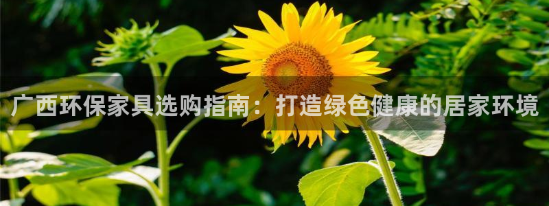 杏耀平台正规么：广西环保家具选购指南：打造绿色健康的居家环境