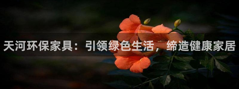 杏耀官网登录：天河环保家具：引领绿色生活，缔造健康家居