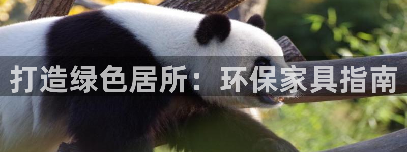 杏耀平台测速登陆