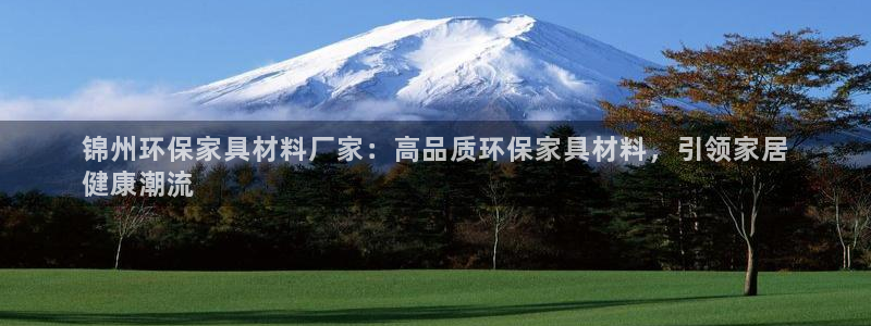 杏耀平台网站是什么