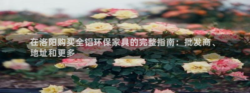 杏耀官网登陆：在洛阳购买全铝环保家具的完整指南：批发商、
地